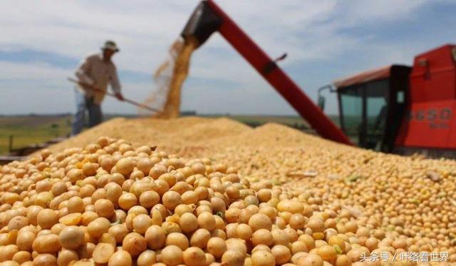 美國(guó)大豆出口大會(huì)閉幕，中國(guó)買家一顆沒買